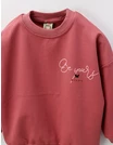 Bluza Be Yours Wings, roz-prafuit picture - 2
