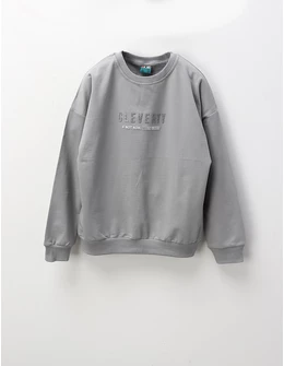 Bluza Cleverty premium, gri