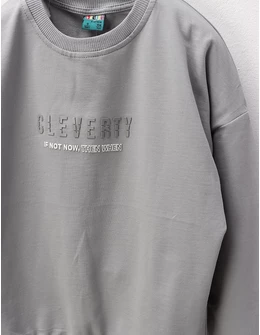 Bluza Cleverty premium, gri