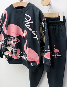 Compleu Flamingo, gri-roz