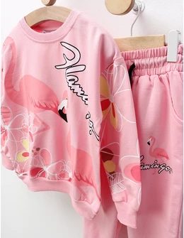 Compleu Flamingo, roz