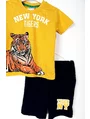 Compleu NEW YORK tigers galben mustar 2