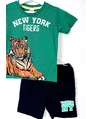 Compleu NEW YORK tigers verde 2