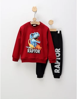 Compleu RAPTOR, visiniu