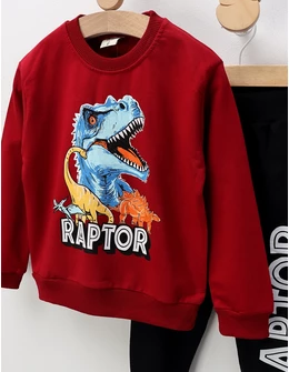 Compleu RAPTOR, visiniu