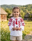 IE TRADITIONALA cu broderie Crina picture - 1