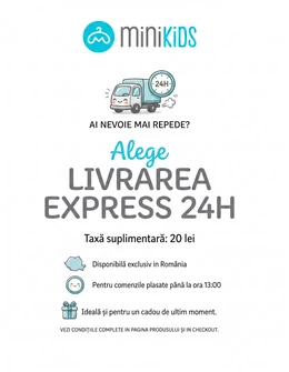 Livrare Express in 24H