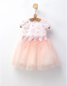 Rochita Ariana, model roz