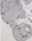 Set cadou 5 piese, dinosaurus, gri picture - 6