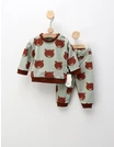 Set little bears verde picture - 1