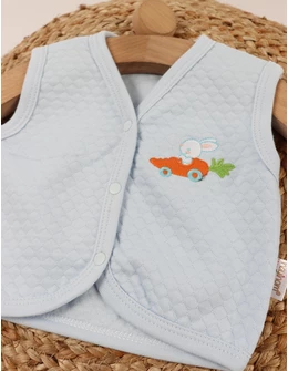 Vesta grofata, Race Rabbit, blue