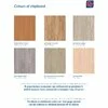 Cuier hol, Cu Spații Depozitare Și Oglindă, PAL, Design Modern, Alb picture - 4