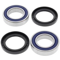 Kit rulmenti si garnituri roata All Balls Racing  WB25-1315