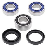 Kit rulmenti si garnituri roata All Balls Racing  WB25-1419