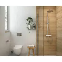 Capac WC softclose Deante Anemon Zero alb picture - 3