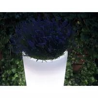 Ghiveci led Micante Bella 110 3000K de exterior picture - 2