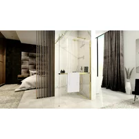 Paravan de dus tip Walk-in Rea Aero N 100x195 cm si etajera cu suport auriu picture - 5