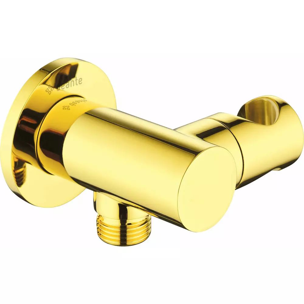 Conector furtun rotund Deante Cascada auriu cu suport dus