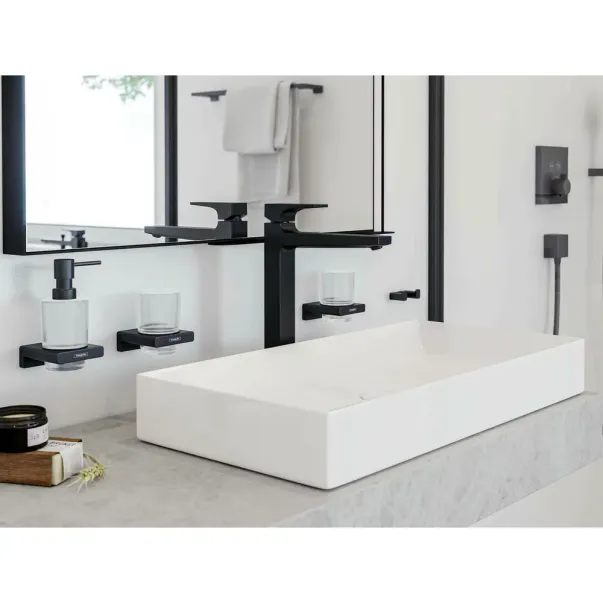 Cuier dublu Hansgrohe AddStoris negru mat picture - 2