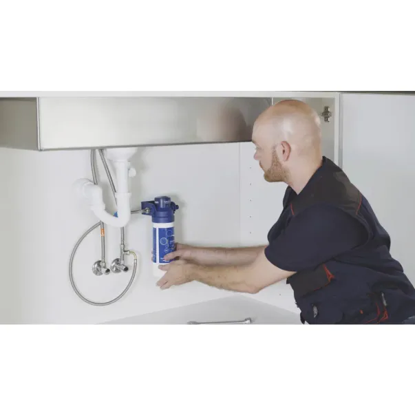 Set filtru de apa Grohe Blue S capacitate 600 litri picture - 4