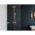 Etajera dus de colt Hansgrohe AddStoris bronz periat picture - 4