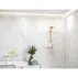 Para de dus Hansgrohe Raindance Select S 120 auriu lucios 3 functii picture - 7