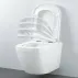 Set rezervor Grohe Rapid SL cu clapeta Skate Air alba si vas wc Grohe Euro Ceramic Triple Vortex capac soft close picture - 4