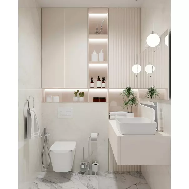 Dus igienic cu baterie Deante Bidetta crom cu baterie incastrata pentru apa rece picture - 3