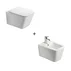 Set vas WC suspendat cu capac softclose si bideu Fluminia Paris alb picture - 1
