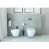 Set vas WC suspendat Deante Anemon Zero alb cu cadru de toaleta, rezervor ascuns si cu buton de actiune crom picture - 5