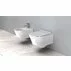 Set vas wc suspendat Rea Tores rimless capac softclose picture - 2