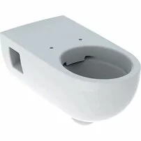 Vas wc suspendat Geberit Selnova Comfort Rimfree cu spalare verticala proiectie alungita fara capac alb