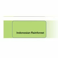 Vopsea lavabila Dulux Indonesian Rainforest 5L