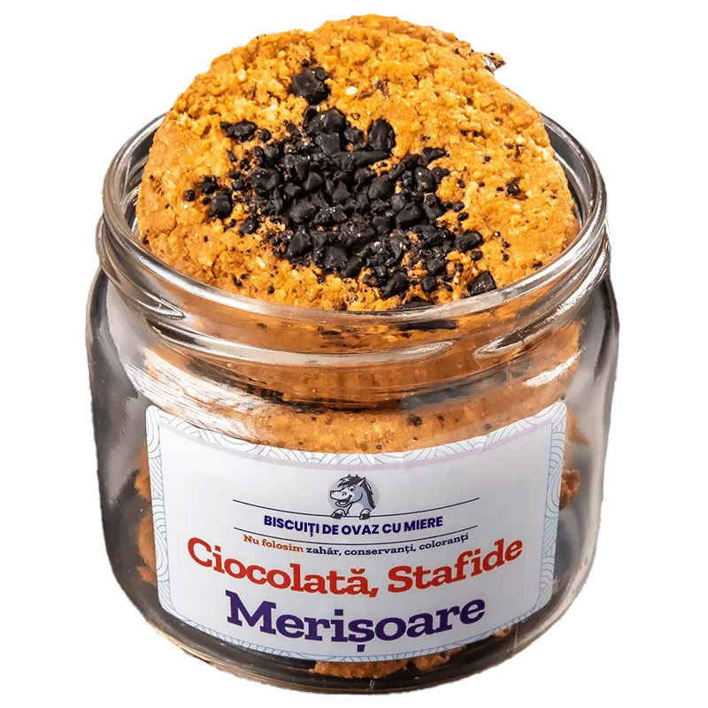 Biscuiti de ovaz cu ciocolata, stafide, merisoare 145g ohvaz