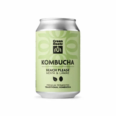 Kombucha bio BEACH PLEASE Menta & lamaie 330ml Green Roots
