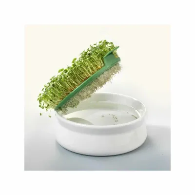 Vas de ceramica cu sita pentru germinare seminte mucilaginoase Germline