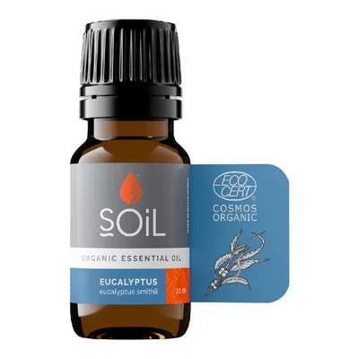 SOiL Ulei Esential Eucalipt, Organic ECOCERT, 10ml