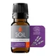 SOiL Ulei Esential Lavanda, Organic ECOCERT, 10ml