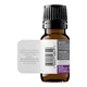 SOiL Ulei Esential Lavanda, Organic ECOCERT, 10ml