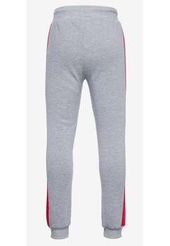 Pantaloni trening, Star Wars, Dark Side, gri