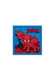 Prosop Spiderman 40 x 60 cm