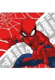 Prosopel magic, Spider-Man, 30x30cm