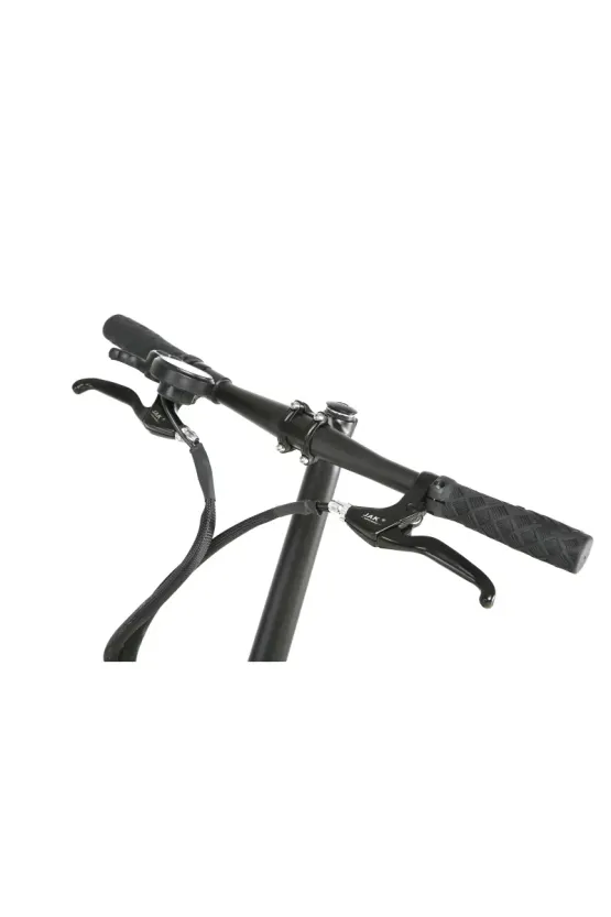 Trotineta electrica Joyor Mbike M3S, 500W, Autonomie 40-50km picture - 11