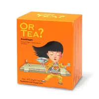 Ceai Ecologic ENERGINGER plic 10X2G
