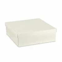 Cutii patrate cu capac mari Pelle bianco 300*300*60mm