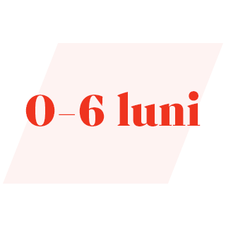0-6 luni