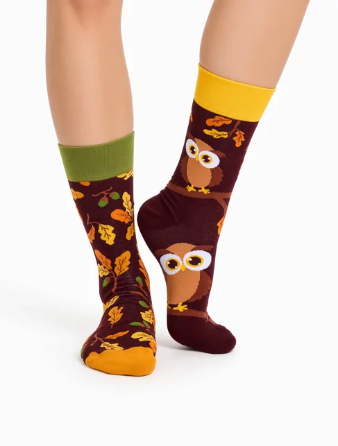 Sosete colorate cu bufnita Dedoles Curious Owl