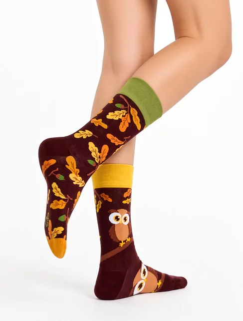 Sosete colorate cu bufnita Dedoles Curious Owl
