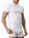 Tricou barbati mulat pe corp decolteu rotund Cotonella AU302 0001