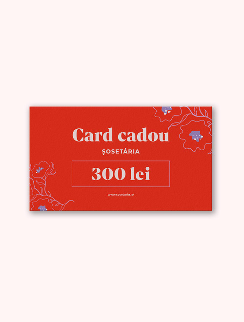 Voucher cadou 300 lei